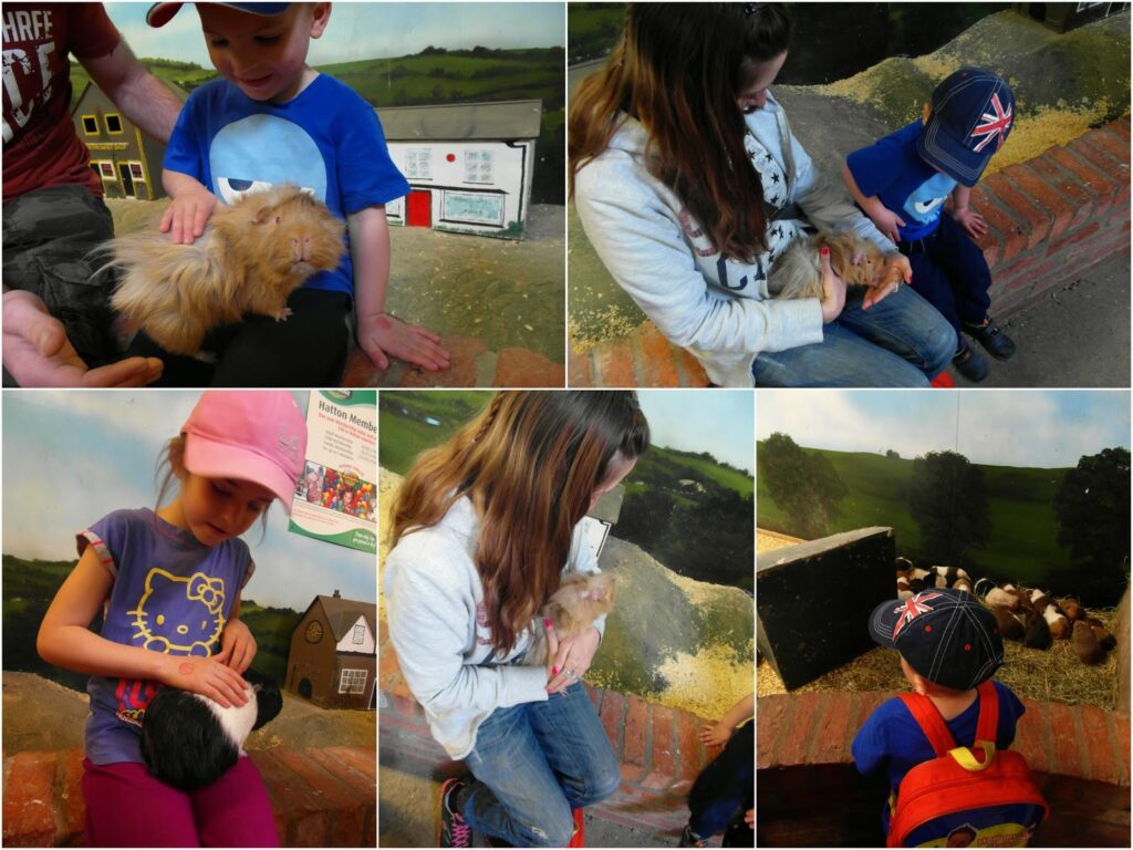 A collage of five photos shows children interacting with guinea pigs at a petting zoo. The kids gently hold and pet the animals while sitting on benches or bricks, with countryside-themed murals and pens visible in the background.