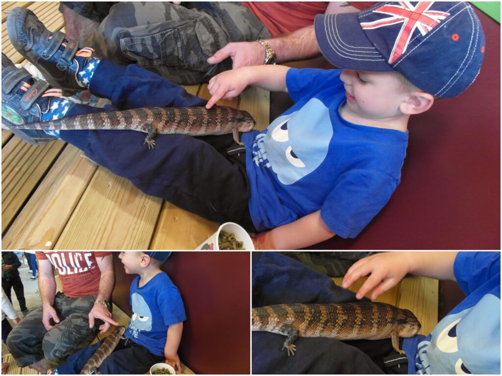 A young boy wearing a blue shirt with a face print, blue trousers, and a cap with a Union Jack design sits on a bench, gently stroking a large lizard on his lap. Two adults with camo trousers and a child’s legs are visible nearby.