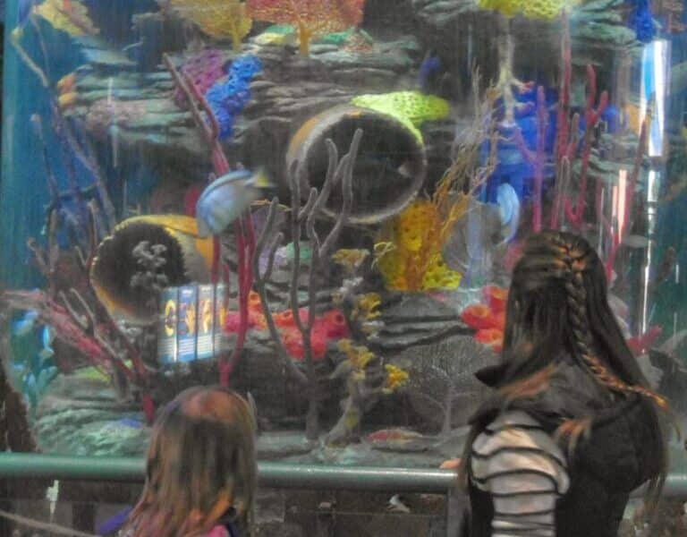 Two girls stand in front of a large aquarium tank, looking at colourful coral and sea life inside. The tank contains bright yellow, pink, blue, and orange coral formations, with branches and tubes, all set against clear glass.