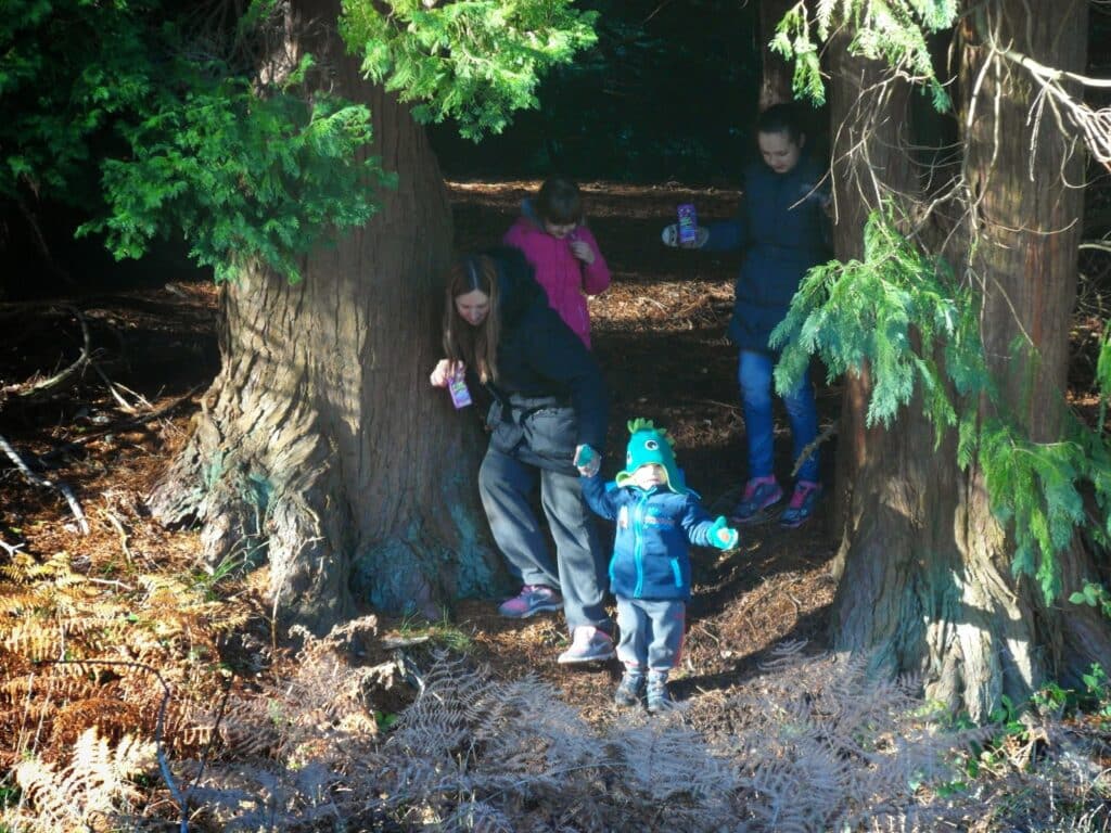 Four people, including a toddler in a blue coat and green hat, walk out from between two large tree trunks in a wooded area. Two women and an older child follow behind, holding drinks. Sunlight filters through green branches onto the forest floor.
