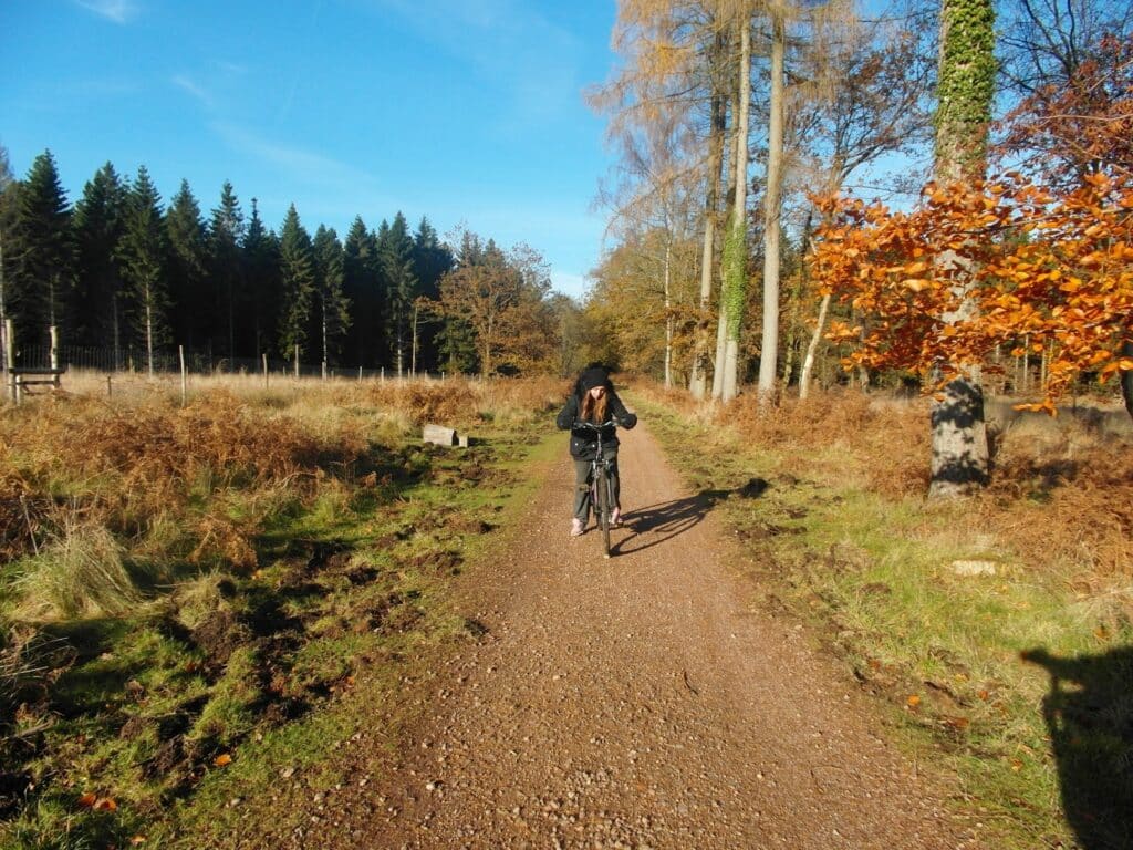 A person in a black jacket rides a bicycle down a sunlit dirt path through a forest. Tall trees with autumn foliage line the path, and the sky is clear blue. The trail is surrounded by grass, dry bracken, and scattered leaves.