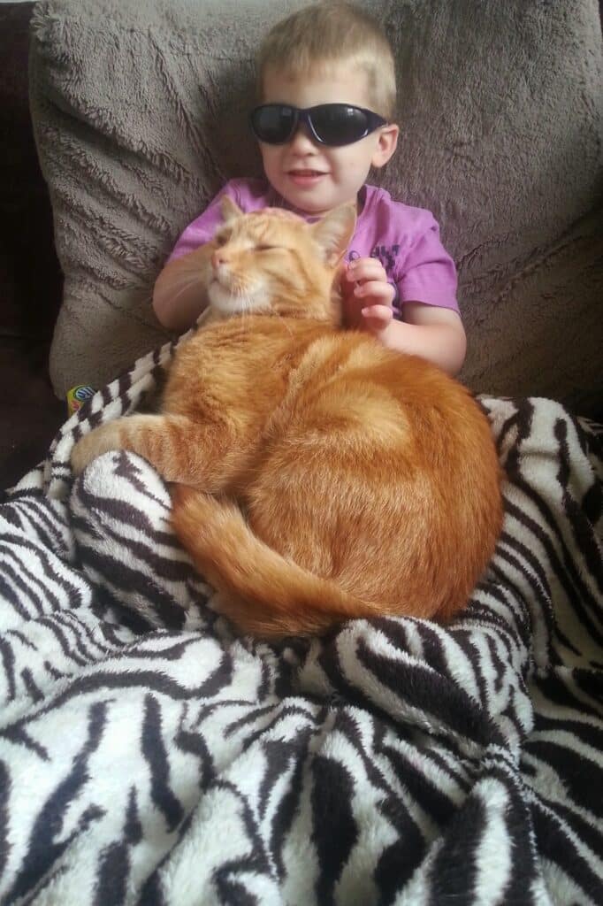 A young child wearing black sunglasses and a pink shirt sits on a sofa, smiling, with hands gently touching a relaxed ginger tabby cat curled up on a zebra-striped blanket. The cat’s eyes are closed as it rests contentedly.