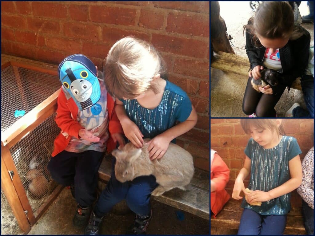 Three photos: Left—two children sit on a bench by a cage, stroking a light brown rabbit. Right top—a girl in a blue shirt and ponytail holds a small, dark rabbit. Right bottom—the same girl strokes a rabbit on her lap, looking down. All are indoors, brick wall background.