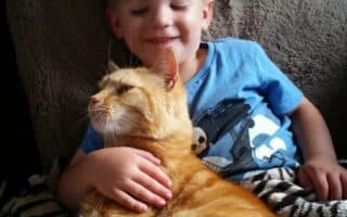 A young child with short blond hair, wearing a blue T-shirt, smiles with eyes closed while sitting on a sofa. The child gently holds an orange tabby cat lying comfortably on their lap, both appearing relaxed and content.