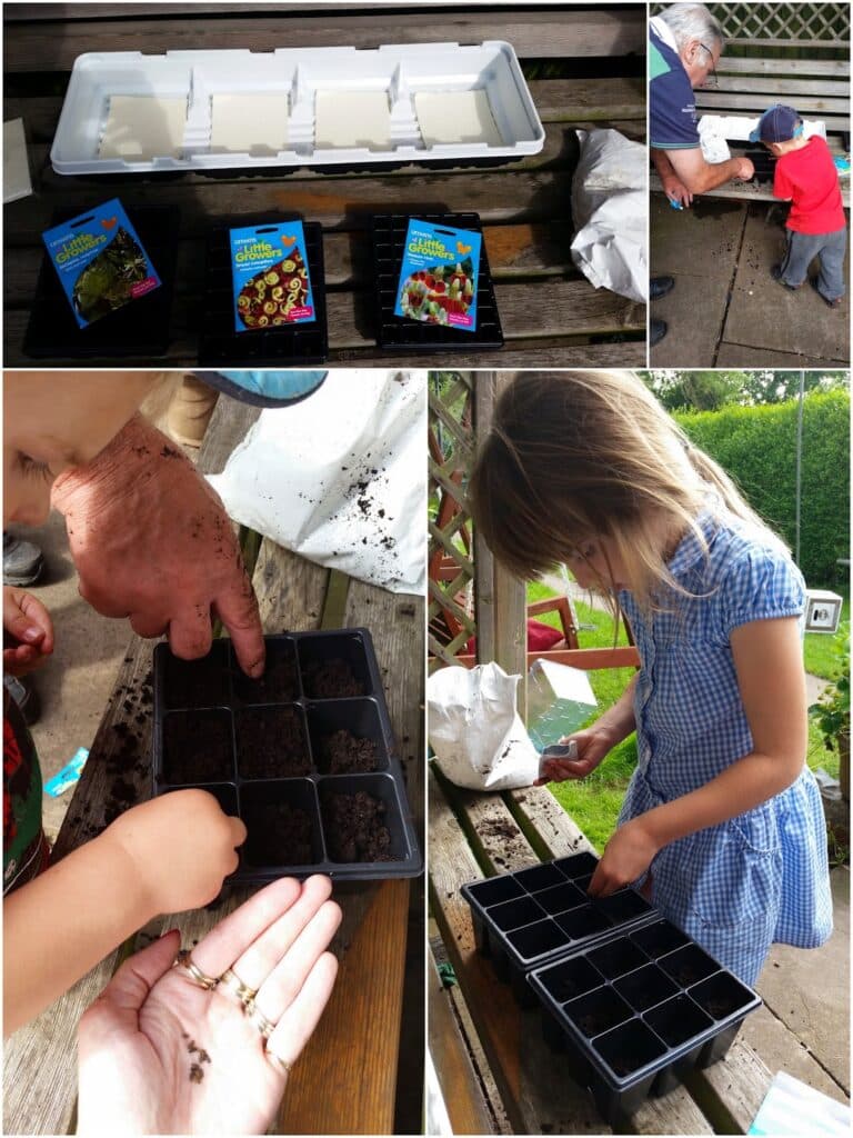 A collage shows children and adults planting seeds: a plant pot and seed packets; a man helps a child; a child presses seeds into soil; a girl sprinkles seeds into a tray; a close-up of seeds in a hand above pots filled with compost.