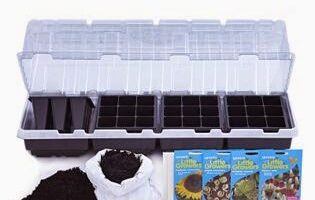 A seed starting kit with a clear plastic lid, black planting tray with multiple cells, a bag of compost with some spilt, and four colourful seed packets for various plants arranged in front.