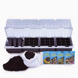A seed starting kit with a clear plastic lid, black planting tray with multiple cells, a bag of compost with some spilt, and four colourful seed packets for various plants arranged in front.