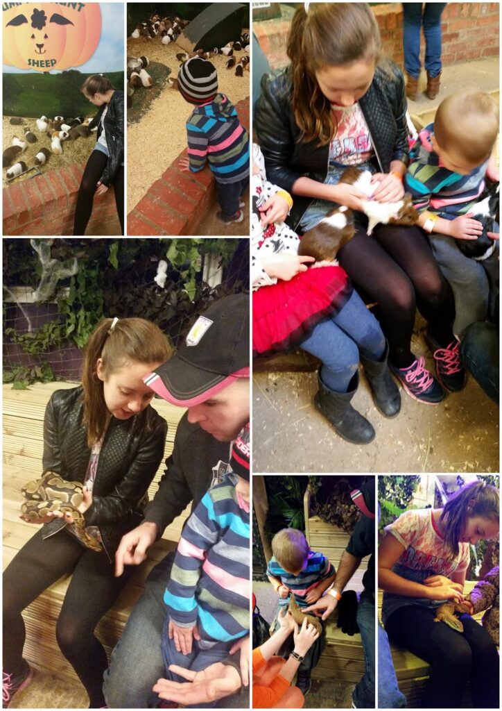 A collage shows a woman and young boy at a petting zoo: they stroke guinea pigs and rabbits, observe animals, and gently touch a snake. The boy wears a striped shirt and blue shoes; the woman wears a black jacket and pink trainers. Both interact with various animals.