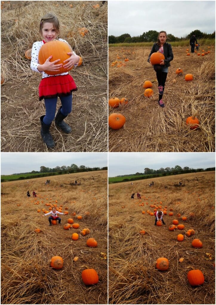 Four photos in a pumpkin patch: Top left, a smiling girl hugs a large pumpkin. Top right, another girl carries a pumpkin towards the camera. Bottom images show both girls, standing or squatting among scattered pumpkins on dry straw with people and trees in the distance.