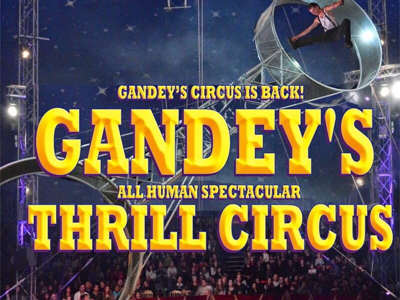 A circus performer runs inside a large metal wheel high above a ring, under a starry big top. Bold yellow and red text reads: “GANDEY’S CIRCUS IS BACK! GANDEY'S ALL HUMAN SPECTACULAR THRILL CIRCUS.” Spotlights shine on the wheel and crowd.