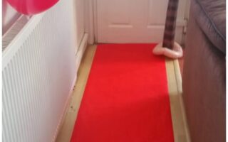 A red carpet runs from the foreground to a white door. Three red balloons are attached to a radiator on the left, and an inflatable palm tree stands by the door on the right, next to a brown sofa. A green object hangs from the door handle.