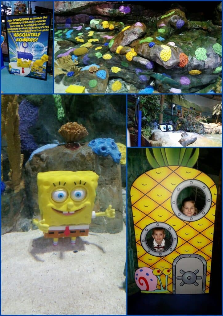 A collage of five aquarium photos: a SpongeBob-themed display board, a colourful coral reef tank, aquarium scenery, a SpongeBob statue, and two children posing behind a cut-out of SpongeBob’s pineapple house with Gary the snail at the bottom.