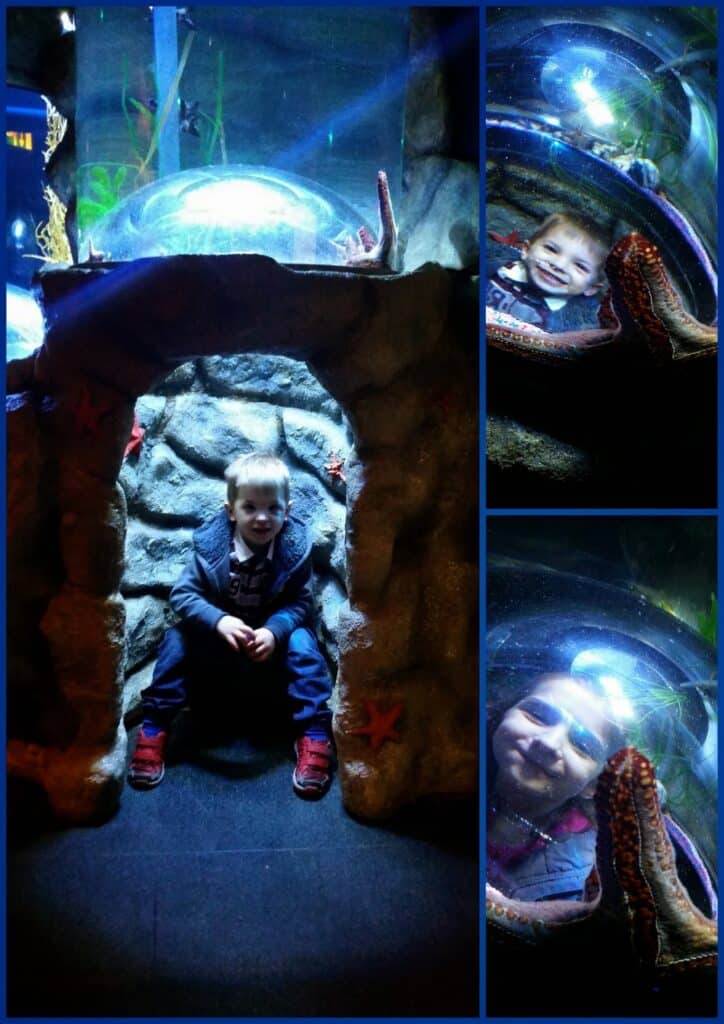 A young child sits inside a rocky aquarium display featuring starfish, with their head visible under a clear dome. Two close-ups show the child smiling inside the dome, surrounded by water, sea creatures, and illuminated by blue light.