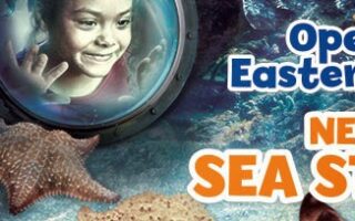 A smiling child looks through a porthole at starfish underwater. Text reads: "NEW 2015." "Opens Easter 2015," and "NEW SEA STARS!" Multiple orange and beige starfish are visible against a blue-purple aquatic background.