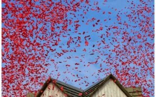 A flurry of red confetti fills the blue sky above a wooden structure with green trim and fake yellow-orange flames painted in the windows, suggesting a playful or festive event. The confetti swirls densely, creating a vibrant, celebratory scene.
