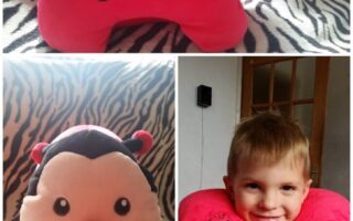 A plush ladybird-shaped neck pillow is shown in three views: side view, front view with a smiling face, and being worn by a smiling young boy with short blond hair, against a zebra print and indoor backgrounds.