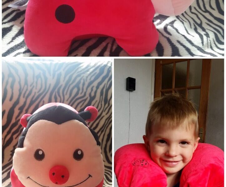 A plush ladybird-shaped neck pillow is shown in three views: side view, front view with a smiling face, and being worn by a smiling young boy with short blond hair, against a zebra print and indoor backgrounds.