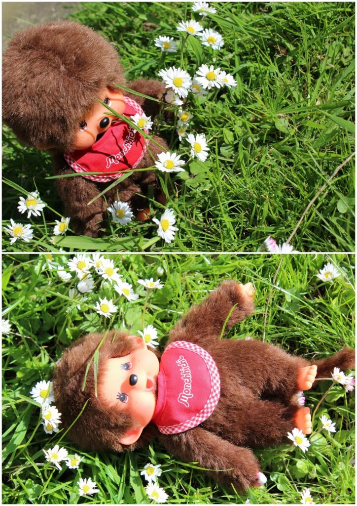 Two images of a Monchhichi doll with brown fur and a red bib, standing and then lying in green grass among white daisy flowers, in bright sunlight. The doll’s expression is cute and curious as it interacts with the flowers.