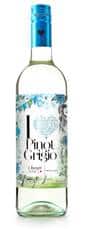 A clear glass bottle of white wine labelled “Pinot Grigio.” The label features blue, green, and white floral designs and text in black. The bottle has a metallic blue screw cap and contains pale yellow wine. The background is white.