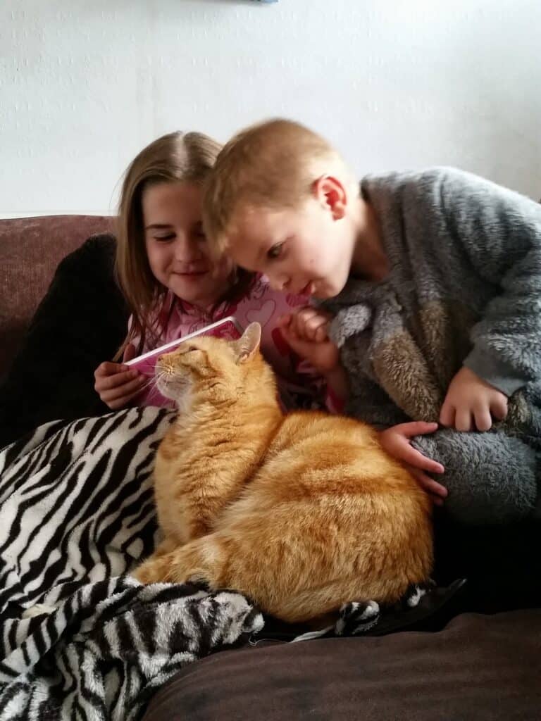 Two children sit on a sofa, smiling and looking at a pink book together. An orange tabby cat sits on a zebra-patterned blanket in front of them. The atmosphere appears warm, cosy, and relaxed.