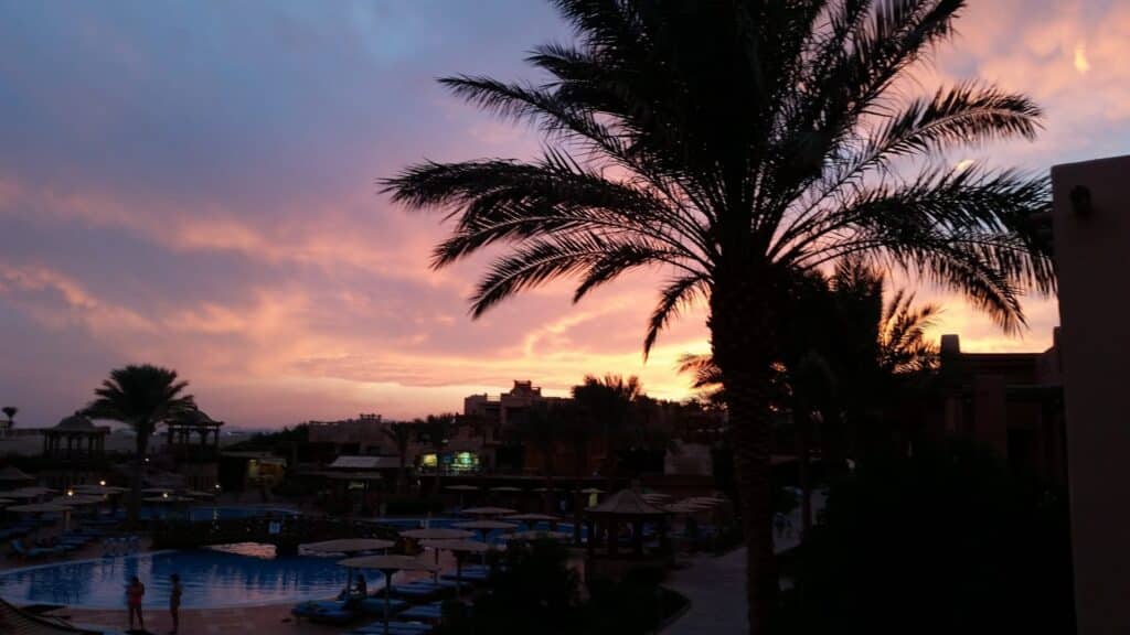 A vibrant sunset with pink and purple clouds illuminates the sky above a resort pool. Tall palm trees are silhouetted in the foreground, with loungers, parasols, and buildings visible under the colourful evening sky.