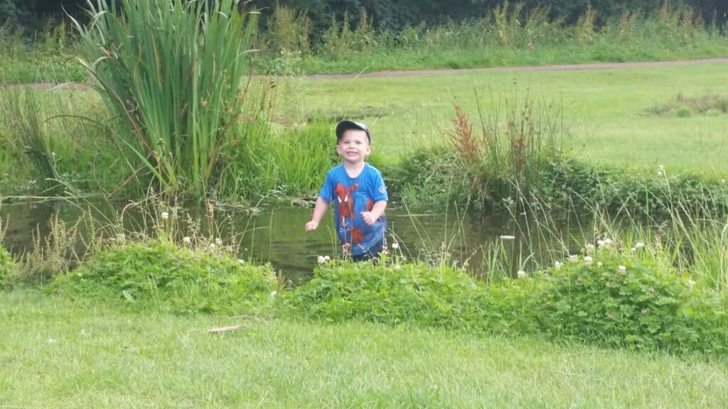 A young child wearing a blue shirt with a red design and a dark cap stands smiling in a shallow pond surrounded by tall grass, green plants, and wildflowers, with a grassy field and trees in the background.