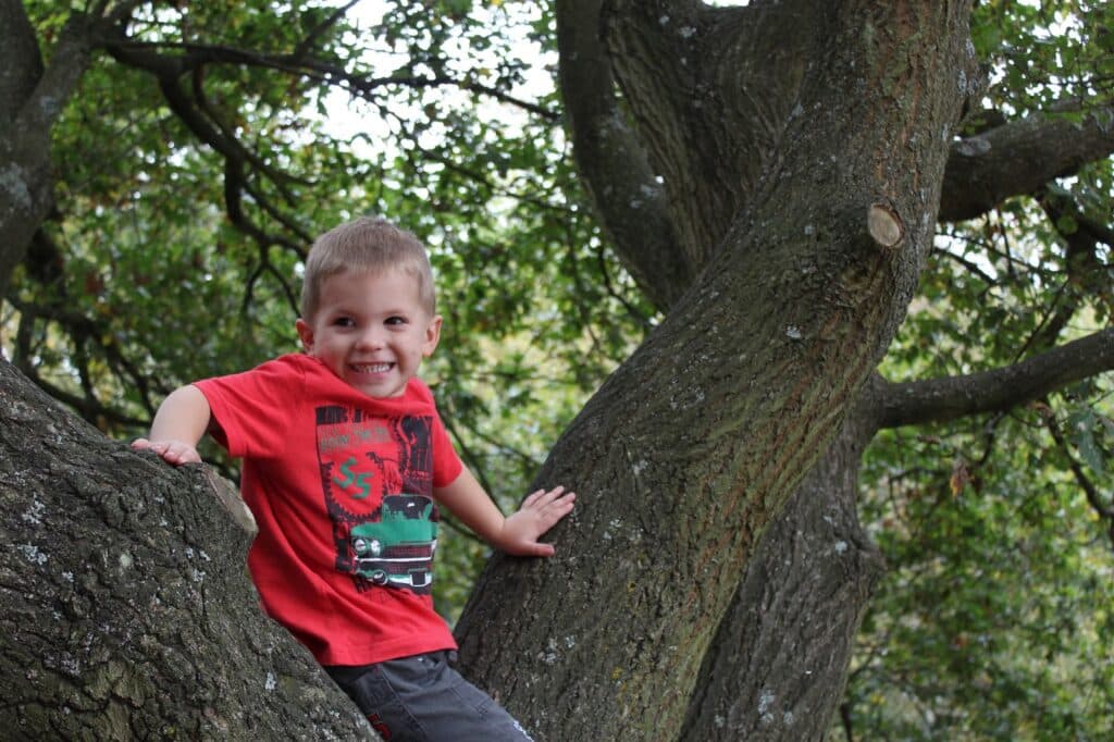 A young boy with short hair, wearing a red t-shirt and grey trousers, smiles widely whilst sitting on a large, mossy tree branch. Green leaves fill the background, creating a lush, outdoor setting. The boy looks happy and playful.