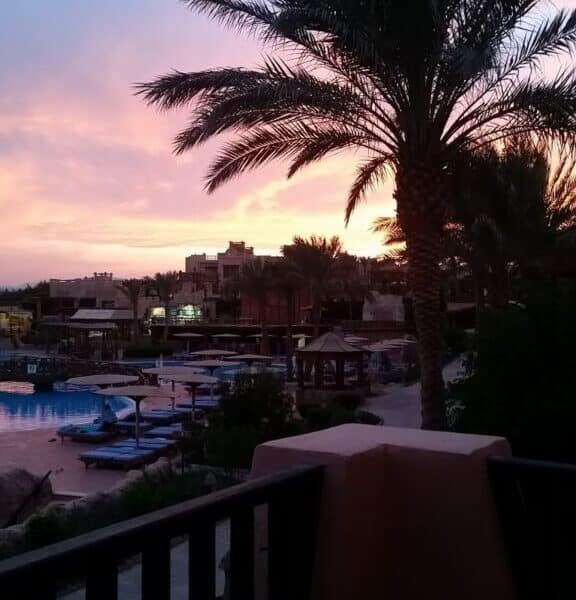 A tall palm tree is silhouetted against a colourful sunset sky with shades of pink, purple, and blue. Below, there are swimming pools, loungers, and resort buildings, creating a relaxing holiday atmosphere, viewed from behind a dark balcony railing.