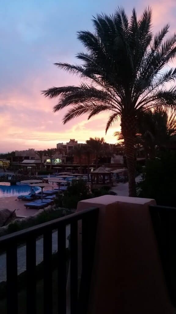 A tropical resort at sunset, with tall palm trees silhouetted against a colourful sky of pink, purple, and orange hues. Below are lounge chairs, a pool, and small boats. Buildings and lush greenery surround the tranquil, scenic setting.