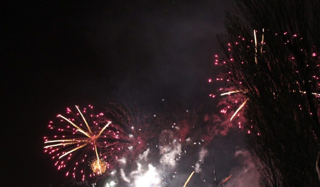 Colourful fireworks burst in the night sky, with red and yellow streaks radiating outward. Dense smoke lingers in the air, partially obscuring the view. There are tall, dark tree branches silhouetted on the right side of the image.