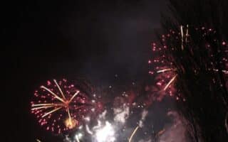 Colourful fireworks burst in the night sky, with red and yellow streaks radiating outward. Dense smoke lingers in the air, partially obscuring the view. There are tall, dark tree branches silhouetted on the right side of the image.