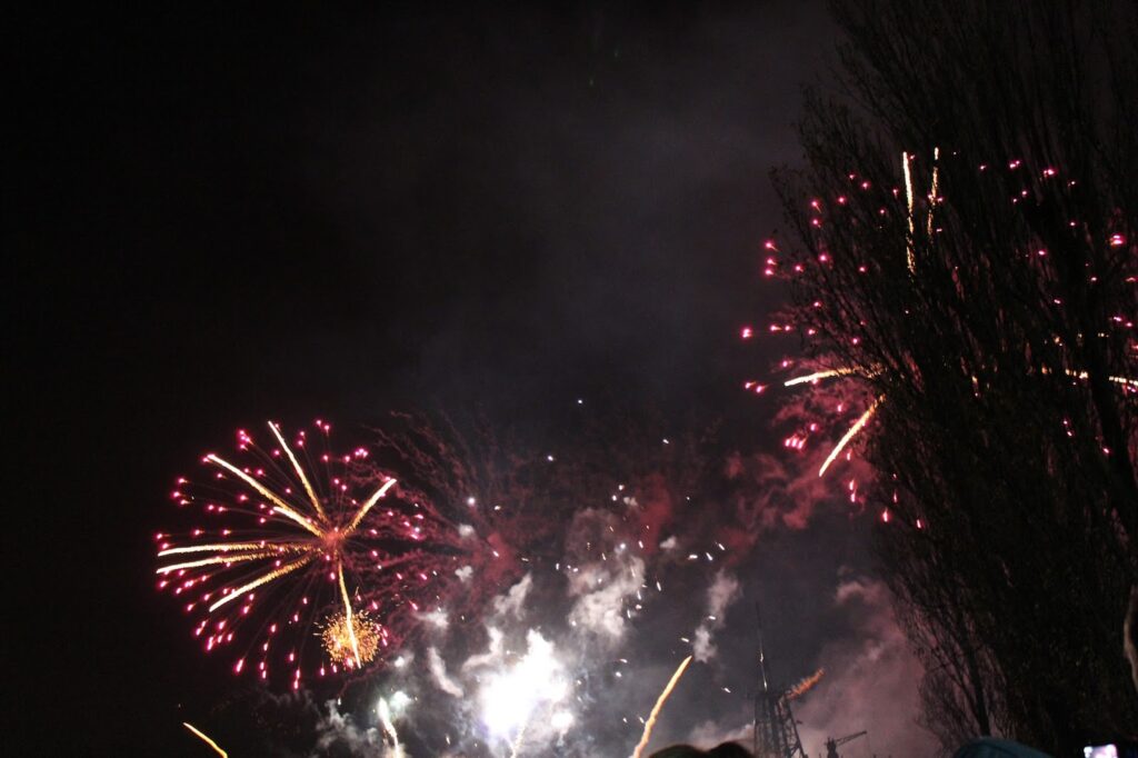 Bright fireworks burst in the night sky, illuminating clouds of smoke. Pink and yellow sparks radiate outwards. On the right side, a tall tree with bare branches is silhouetted against the light. The scene suggests celebration or a festive event.
