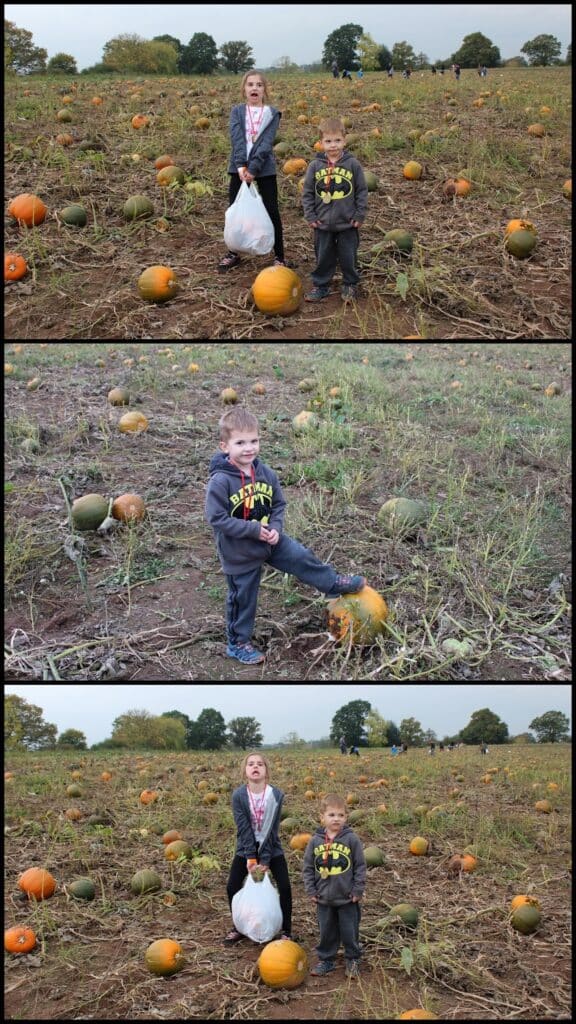 Three photos show a girl and a boy in a pumpkin patch. The girl holds a white bag and smiles, while the boy wears a Batman sweatshirt. They stand among scattered pumpkins, with green trees and cloudy sky in the background.