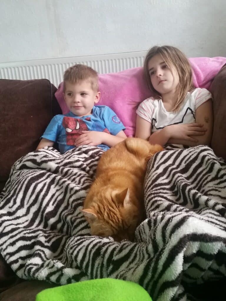 Two children sit on a sofa covered with a zebra-patterned blanket; the boy on the left wears a blue Spiderman shirt, the girl on the right has a white shirt with black trim. An orange cat is curled up, sleeping between them. The background is neutral.
