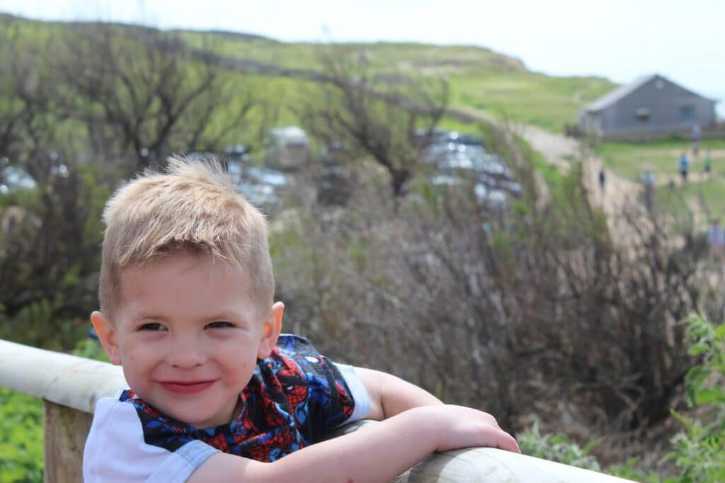 A young boy with short blond hair and a colourful shirt smiles whilst leaning on a wooden railing. Behind him are leafless bushes, grassy hills, and a distant grey building under a bright sky. The scene feels cheerful and outdoorsy.