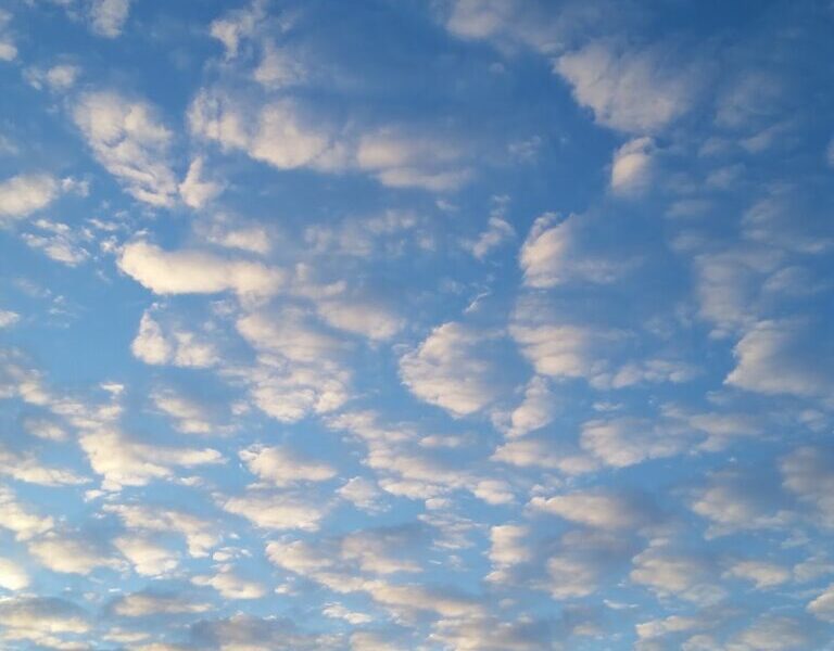 A sky filled with scattered, fluffy white clouds during daylight, creating a textured pattern. The light blue sky shows hints of sunlight, and silhouettes of rooftops, trees, and telegraph poles are visible along the bottom edge.