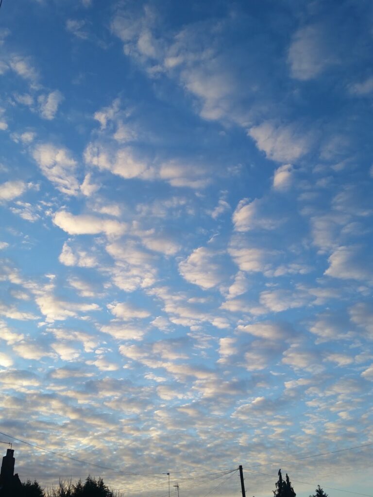 The image shows a sky filled with scattered, fluffy clouds tinged with soft sunlight. The lower edge of the photo includes silhouettes of trees, rooftops, and telephone poles, while the sky dominates the scene with its blue tones and white cloud patches.
