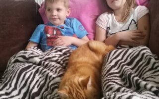 Two young children, a boy in a blue Spiderman shirt and a girl in a white shirt with a cat print, sit on a sofa under a zebra-patterned blanket. An orange cat lies curled up on their laps. Both children appear relaxed and are looking ahead.
