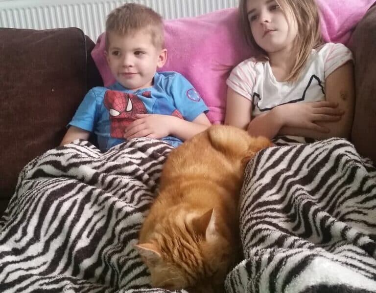 Two young children, a boy in a blue Spiderman shirt and a girl in a white shirt with a cat print, sit on a sofa under a zebra-patterned blanket. An orange cat lies curled up on their laps. Both children appear relaxed and are looking ahead.