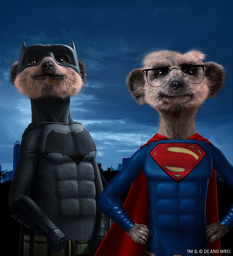 Two meerkats stand side by side; one wears a black Batman costume, the other wears a blue Superman suit with glasses and a red cape. The background shows a dark, cloudy sky and a city skyline. Both meerkats look proud and heroic.