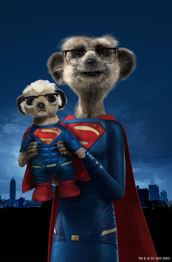 Two meerkats dressed as Superman pose heroically against a dark city skyline. The larger meerkat wears glasses and holds a smaller meerkat also in glasses and a cape. Both sport blue suits with red capes and the iconic Superman “S” chest emblem.
