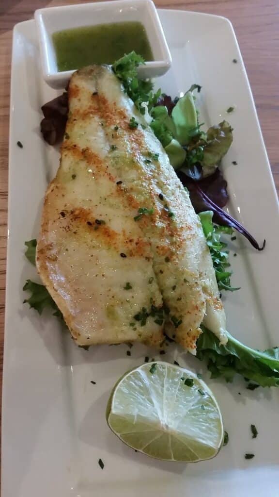 Grilled white fish fillet garnished with herbs, served on a bed of mixed leaves with a lime wedge and a small square dish of green sauce on a rectangular white plate.