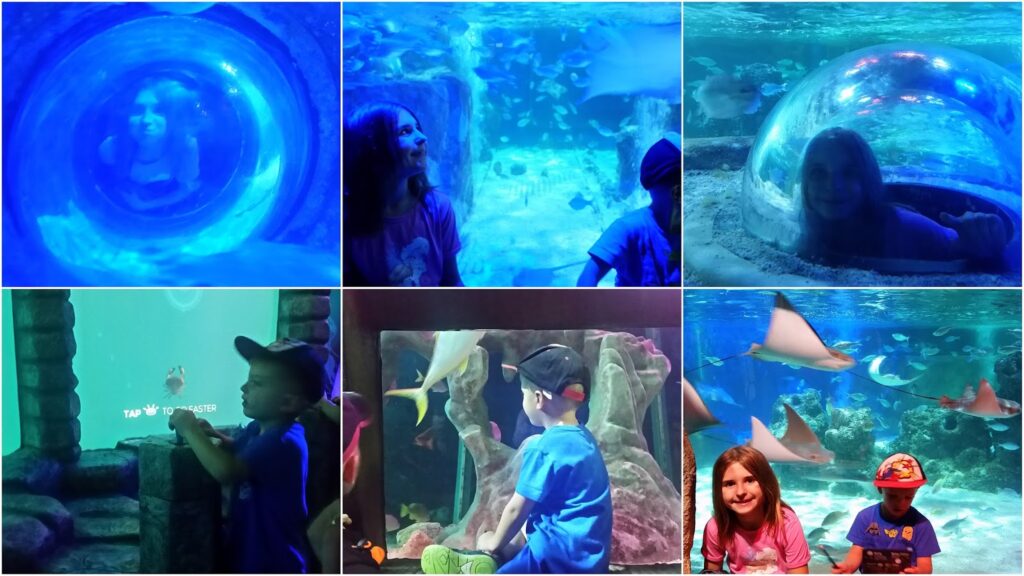 A collage of six aquarium photos shows two children exploring underwater tunnels, bubble domes, and large fish tanks, surrounded by blue light, tropical fish, and aquatic scenery. The children are smiling and interacting with the exhibits.