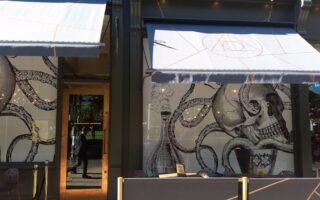 A shopfront with large windows decorated with black-and-white artwork of an octopus entwined with a human skull. Two light awnings cover the upper windows, and a wooden-framed glass door reflects a person taking the photo.