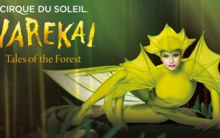 A performer in a bright yellow, leaf-inspired costume poses on a mossy surface. Text reads “CIRQUE DU SOLEIL VAREKAI Tales of the Forest.” The background is green and blurred, evoking a mystical forest setting. The performer’s make-up is dramatic and colourful.