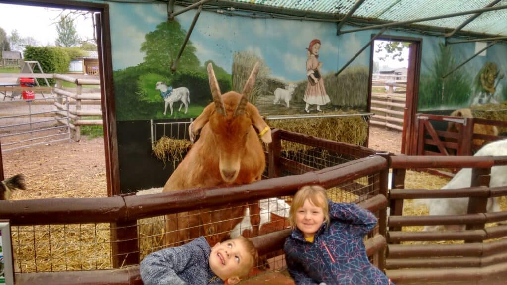 Two smiling children in patterned jackets pose in front of a brown goat inside an animal pen. Behind them is a mural depicting a girl with sheep and a dog, and hay on the ground. Fences and a farmyard are visible in the background.