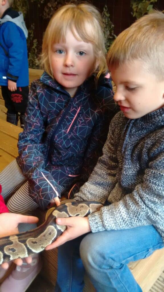 Two young children sit next to each other indoors, holding a brown and tan patterned snake. The girl on the left wears a dark jacket with a geometric pattern; the boy on the right wears a grey jumper. An adult’s hands support the snake. Another child stands in the background.