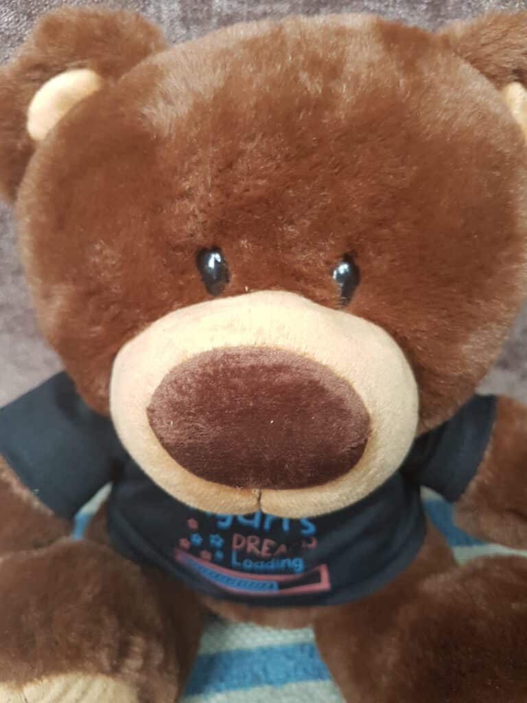 A soft, brown teddy bear with a beige snout and inner ears sits upright. It has shiny, black eyes and wears a dark T-shirt with colourful text and a loading bar graphic. The background is blurred in shades of grey and blue.