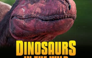 A dinosaur head with text.