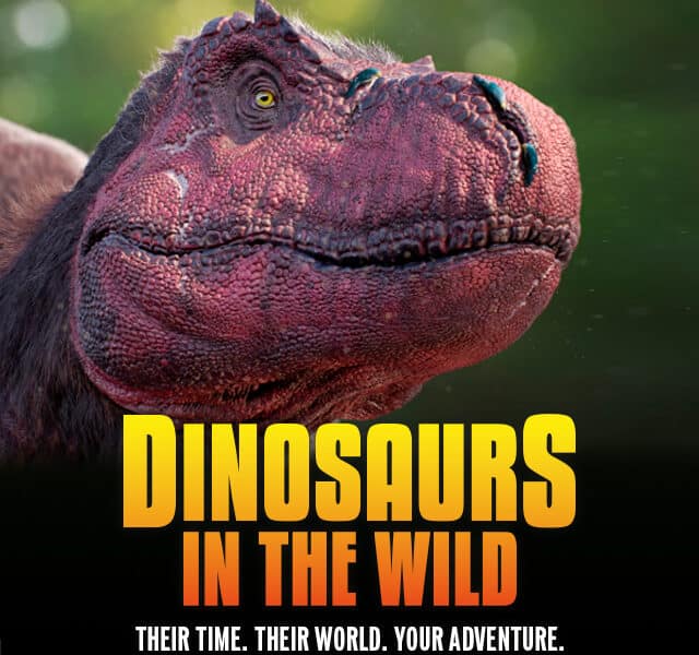 A dinosaur head with text.